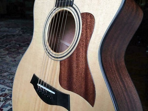 Taylor rep battipenna solo - rep,